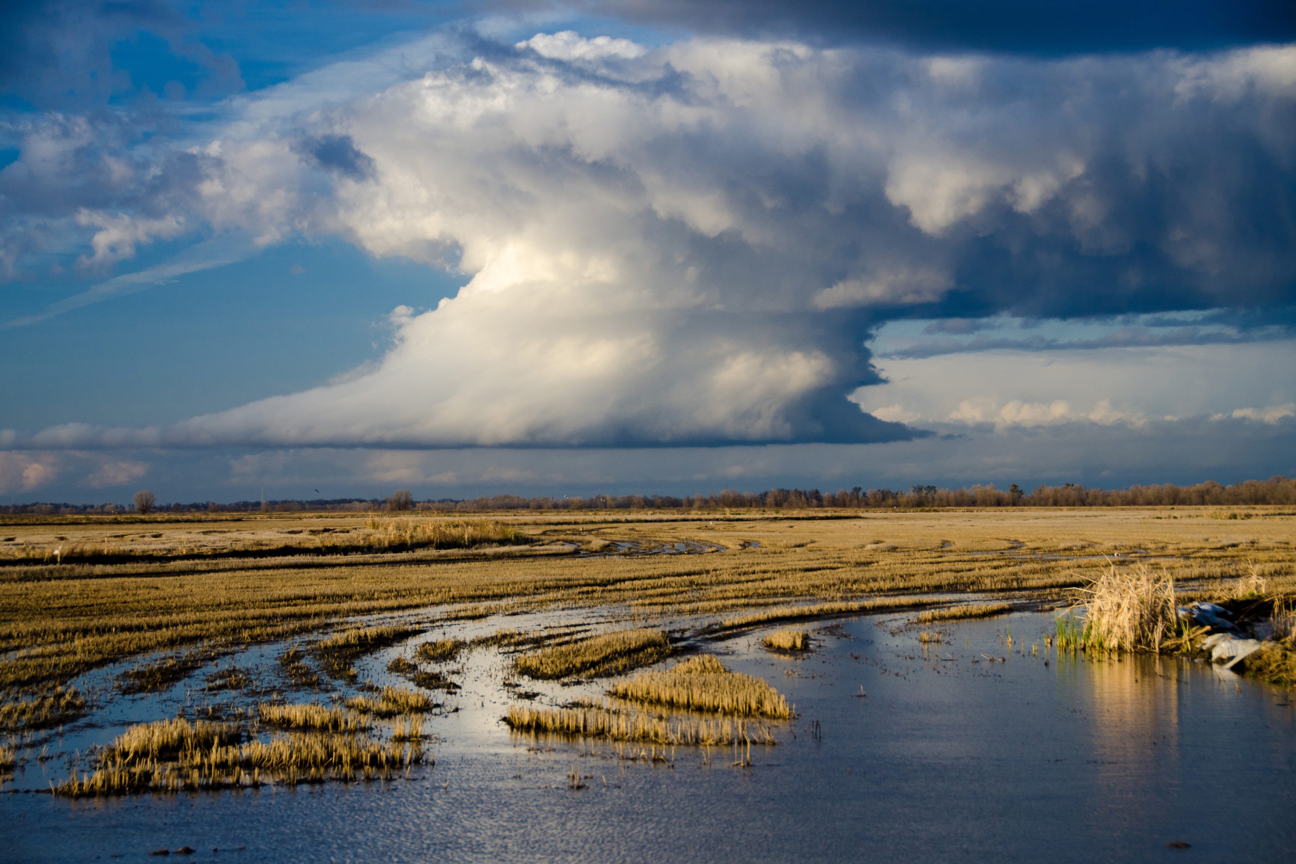 Flooded farmland