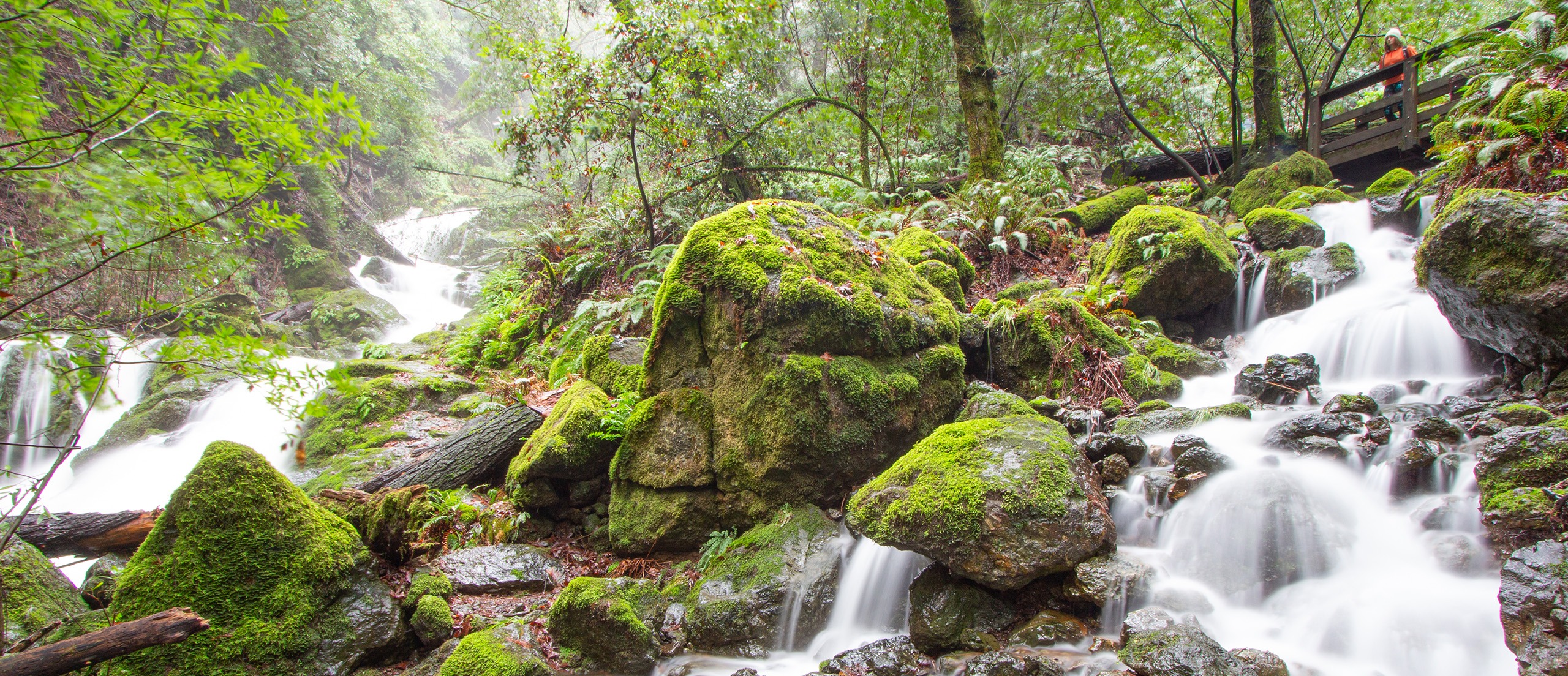 Water flowing from a creek